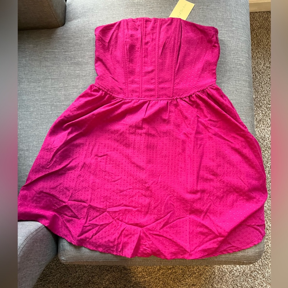 Hot pink Band of the Free corset top dress